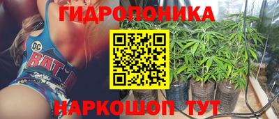 jwh Новозыбков