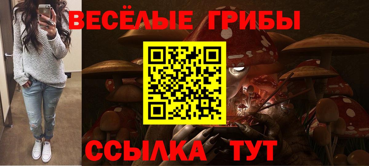 Галлюциногенные грибы Psilocybine cubensis Новотроицк