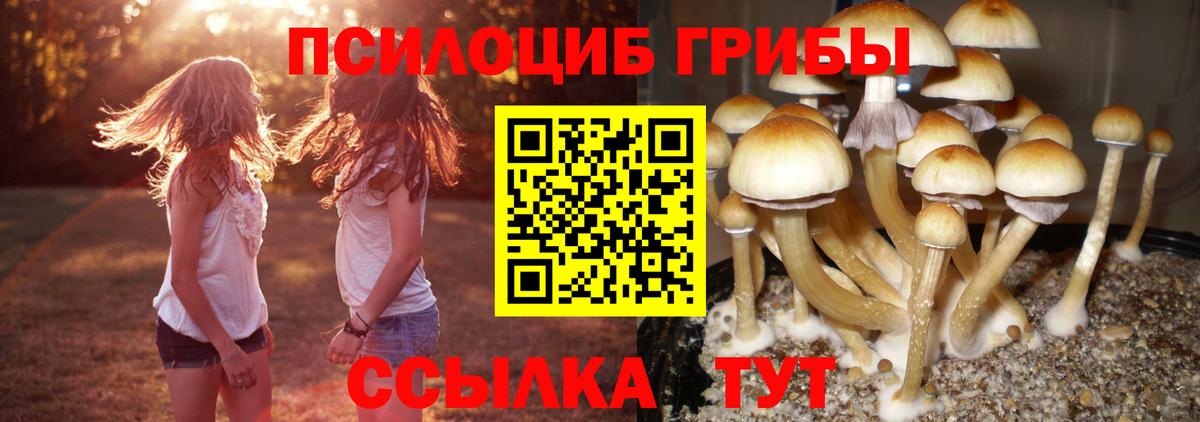Галлюциногенные грибы прущие грибы  Вход с VPN  Новотроицк 